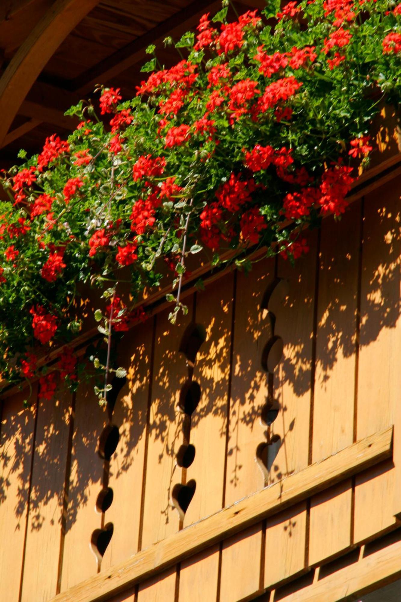 Hotel Villa Monica Toblach Exteriér fotografie